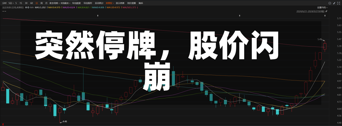 突然停牌，股价闪崩-第3张图片