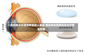 一类创新中药通络明目纳入医保 糖尿病视网膜病变治疗新添利器-第3张图片