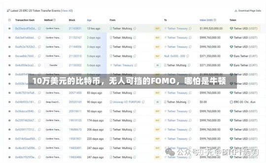 10万美元的比特币，无人可挡的FOMO，哪怕是牛顿