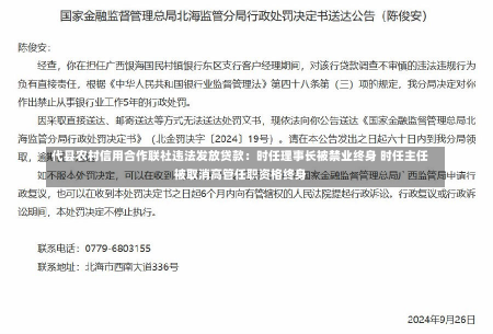 代县农村信用合作联社违法发放贷款：时任理事长被禁业终身 时任主任被取消高管任职资格终身-第2张图片