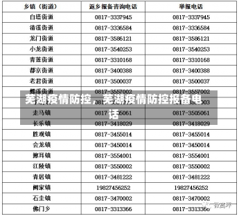 芜湖疫情防控，芜湖疫情防控报备电话-第3张图片