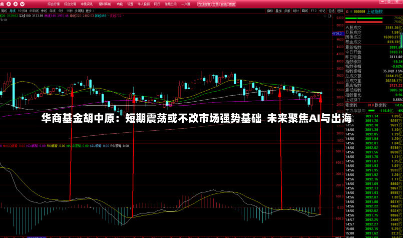 华商基金胡中原：短期震荡或不改市场强势基础  未来聚焦AI与出海-第1张图片