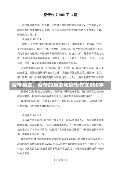 疫情启发，疫情的启发和感悟作文800字-第2张图片