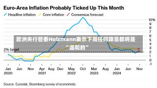 欧洲央行管委Holzmann表示下周任何降息都将是“温和的”-第1张图片