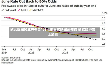 欧元区服务业PMI自1月以来首次跌破荣枯线 疲软经济雪上加霜-第2张图片