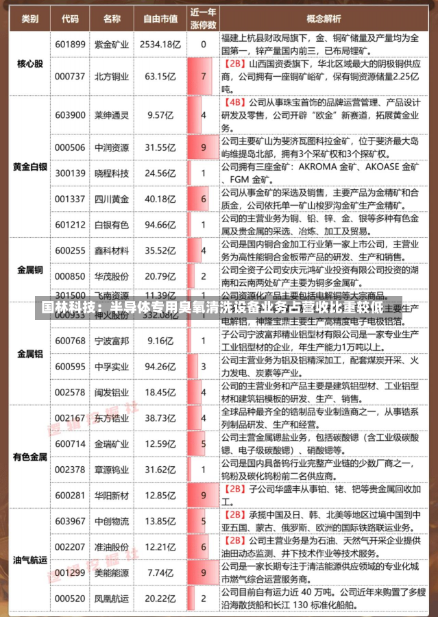 国林科技：半导体专用臭氧清洗设备业务占营收比重较低-第2张图片