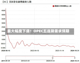 最大幅度下调！OPEC五连降需求预期-第1张图片