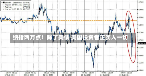 纳指两万点！除了美债 美国投资者正买入一切-第2张图片