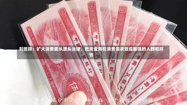 刘世锦：扩大消费要从源头治理，把资金用在消费需求效应最强的人群和环节-第2张图片