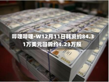 哔哩哔哩-W12月11日耗资约84.31万美元回购约4.23万股-第2张图片