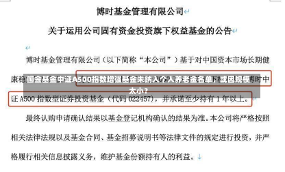 国金基金中证A500指数增强基金未纳入个人养老金名单，或因规模太小？-第3张图片