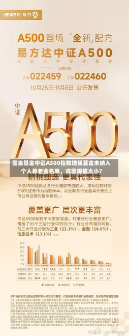 国金基金中证A500指数增强基金未纳入个人养老金名单，或因规模太小？-第2张图片