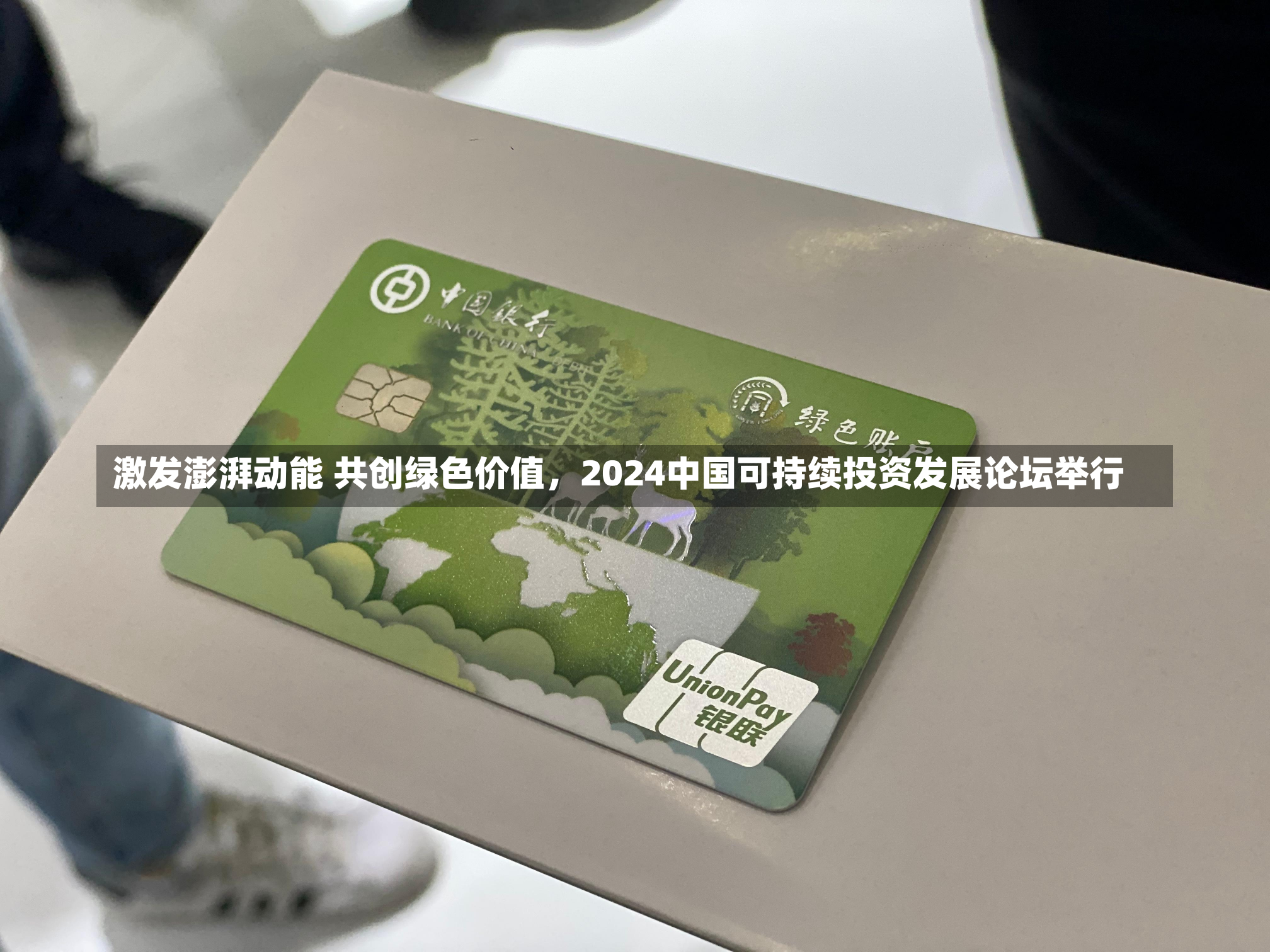 激发澎湃动能 共创绿色价值，2024中国可持续投资发展论坛举行