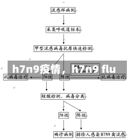 h7n9疫情，h7n9 flu-第3张图片