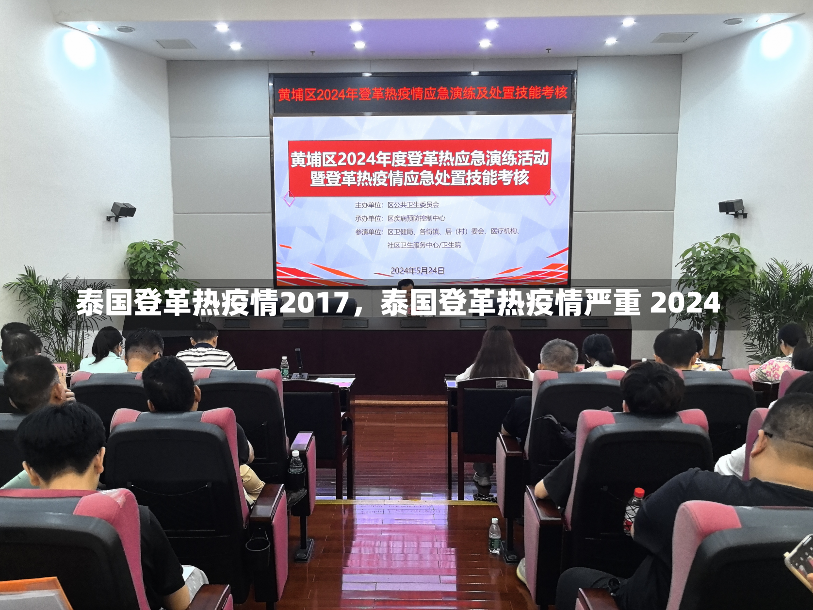 泰国登革热疫情2017，泰国登革热疫情严重 2024