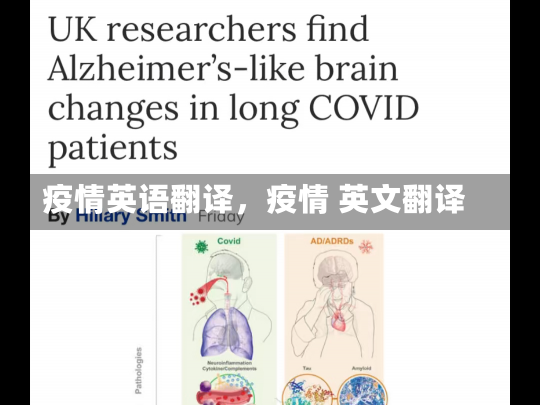 疫情英语翻译，疫情 英文翻译