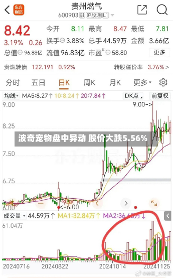 波奇宠物盘中异动 股价大跌5.56%-第3张图片