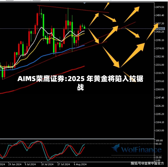 AIMS荣鹰证券:2025 年黄金将陷入拉锯战-第3张图片