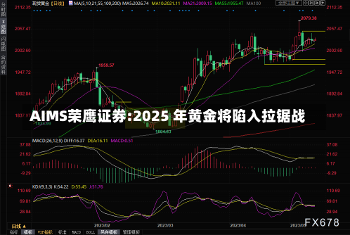 AIMS荣鹰证券:2025 年黄金将陷入拉锯战-第2张图片