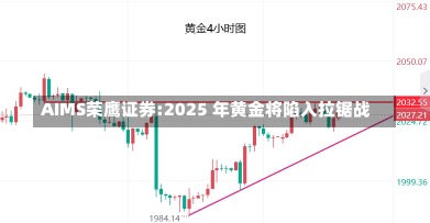 AIMS荣鹰证券:2025 年黄金将陷入拉锯战-第1张图片