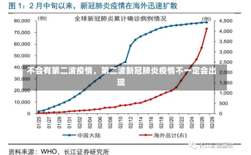 不会有第二波疫情，第二波新冠肺炎疫情不一定会出现