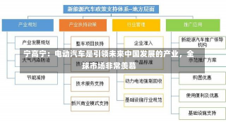 宁高宁：电动汽车是引领未来中国发展的产业，全球市场非常羡慕