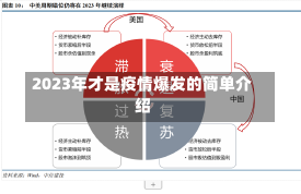 2023年才是疫情爆发的简单介绍