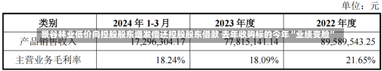 景谷林业低价向控股股东增发偿还控股股东借款 去年收购标的今年“业绩变脸”