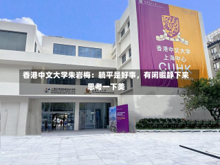 香港中文大学朱岩梅：躺平是好事，有闲暇静下来思考一下美-第1张图片