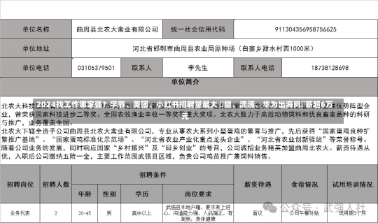 2024找工作哪家强？字节、美团、小红书招聘量最大 ⼤疆、滴滴、华为出海岗⽉薪超6万元-第1张图片