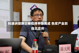 科迪纳微新三板挂牌申报完成 色浆产业剑指北交所