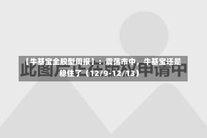 【牛基宝全股型周报】：震荡市中，牛基宝还是稳住了（12/9-12/13）-第1张图片