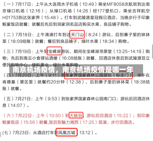 南京机场疫情，南京机场疫情是哪一年-第2张图片