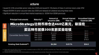 MicroStrategy比特币持仓达460亿美元，称现在买比特币就像300年前买曼哈顿-第1张图片