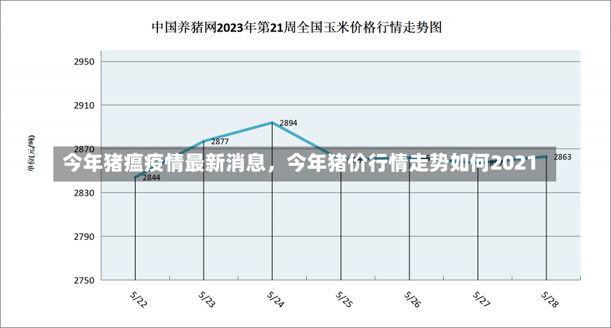 今年猪瘟疫情最新消息，今年猪价行情走势如何2021