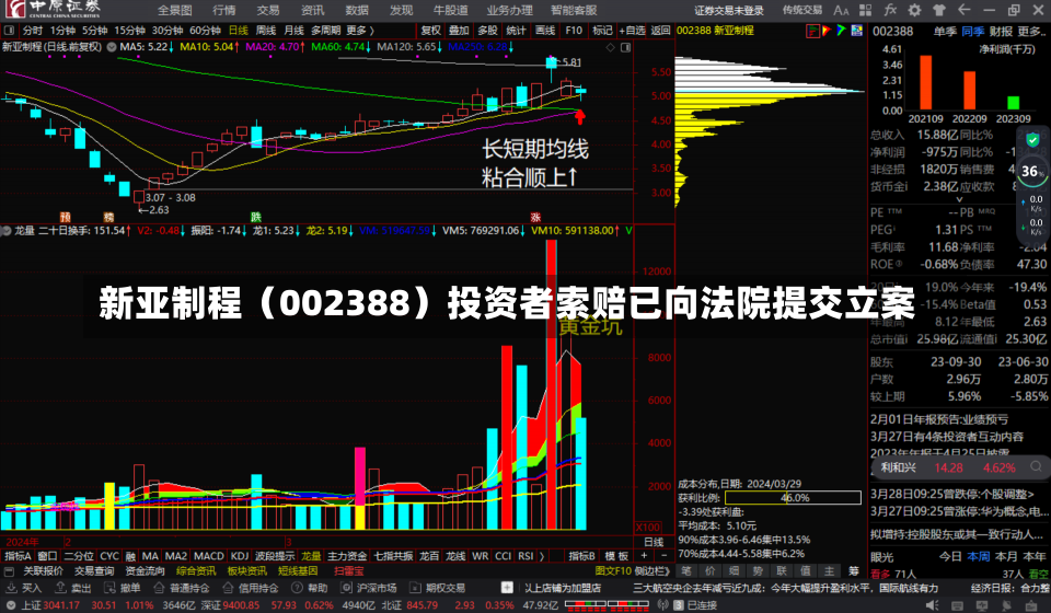 新亚制程（002388）投资者索赔已向法院提交立案-第3张图片