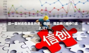 这一题材还在走主升浪，但斌、葛卫东“相中”这几只？