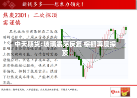 中天期货:玻璃震荡反复 棕榈再度探顶-第1张图片