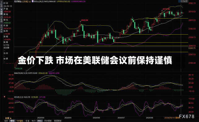 金价下跌 市场在美联储会议前保持谨慎