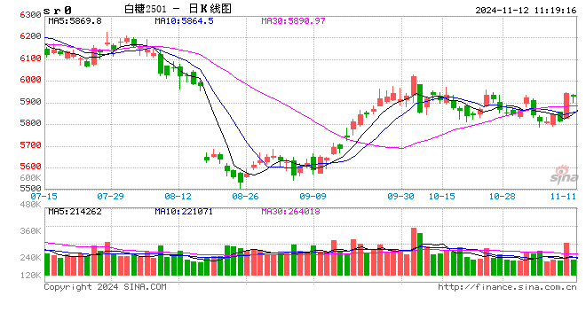 光大期货软商品类日报11.12