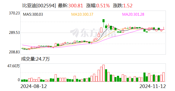 前10个月新能源车险保费同比大增53% 比亚迪、小米等新“玩家”相继入局