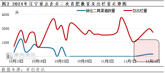 卓创资讯：16元线刺激二育补栏情绪？辽宁生猪市场行情究竟如何