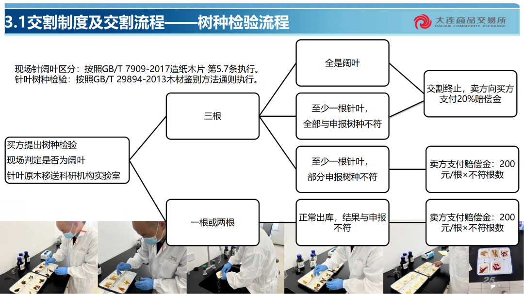 原木期货合约规则及交割业务介绍