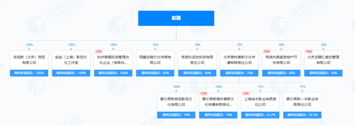 热搜第一！赵薇公司被强制执行14177元